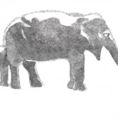 Tapeta Wall&Deco Aqua elephas BBAE1101 | CWC 2011