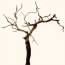 CHERRY TREE TAPETA WALL&DECO cover