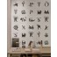 Tapeta Wall&Deco Animal Codex 