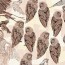 PENCIL BIRDS WDPB1602