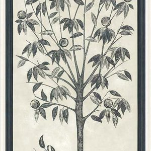 113/14043 TREES OF EDEN LIFE