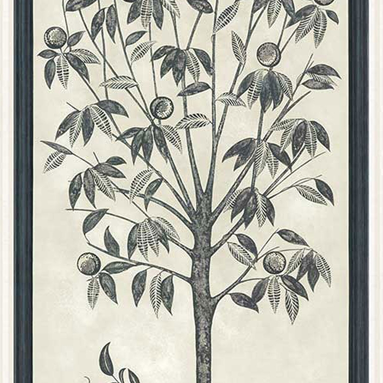 113/14043 TREES OF EDEN LIFE