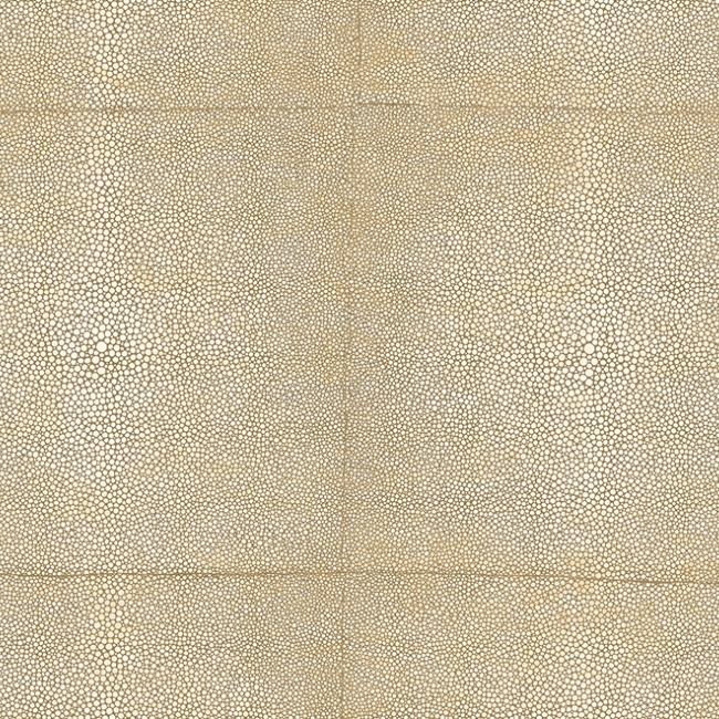 Tapeta Arte Icons 85520 Sand Shagreen cover