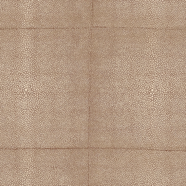 Tapeta Arte Icons 85522 Rose Brown Shagreen cover