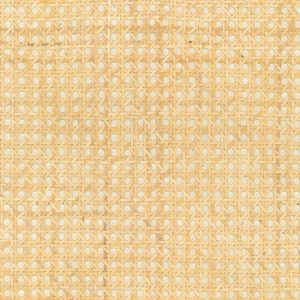 Tapeta Arte Icons 85540 Off-white Rattan cover