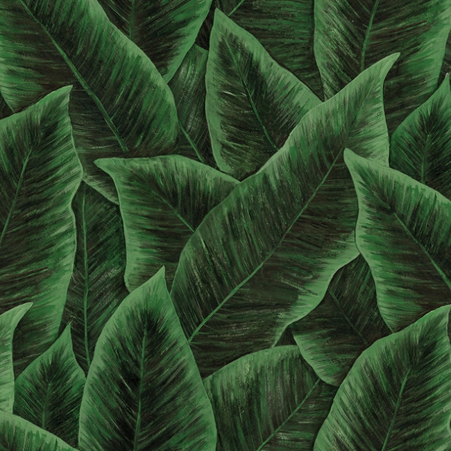 tapeta Arte Décors&Panoramiques 97572 Emerald Brid of Paradise cover