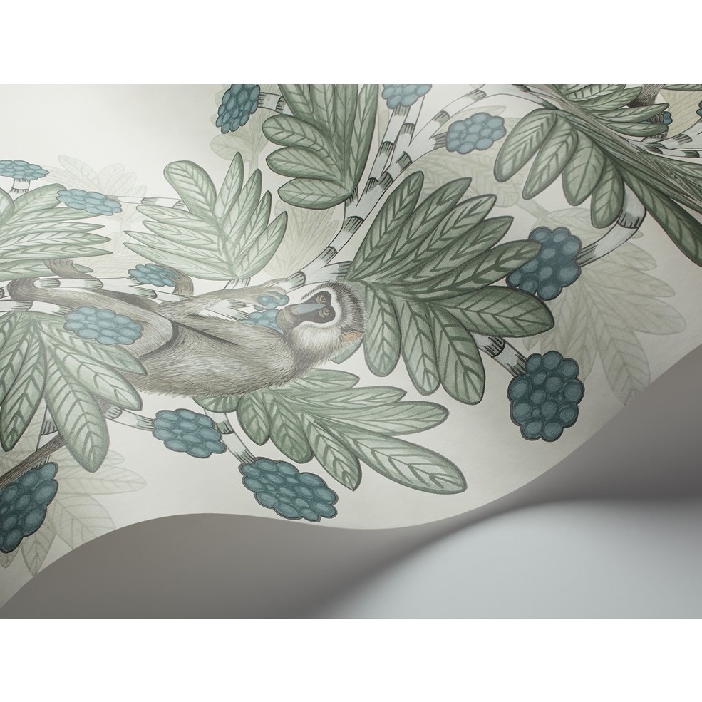 ACACIA 109/11052 TAPETA COLE&SON