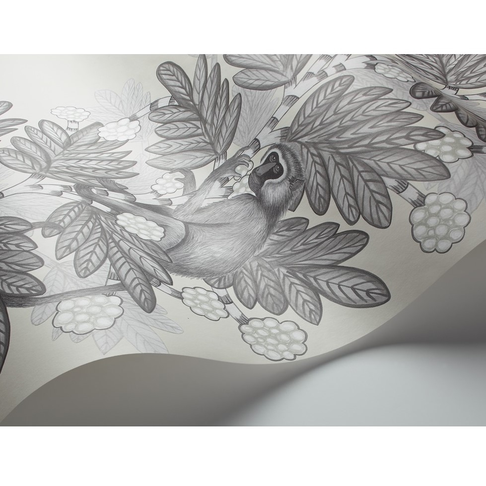 ACACIA 109/11053 TAPETA COLE&SON
