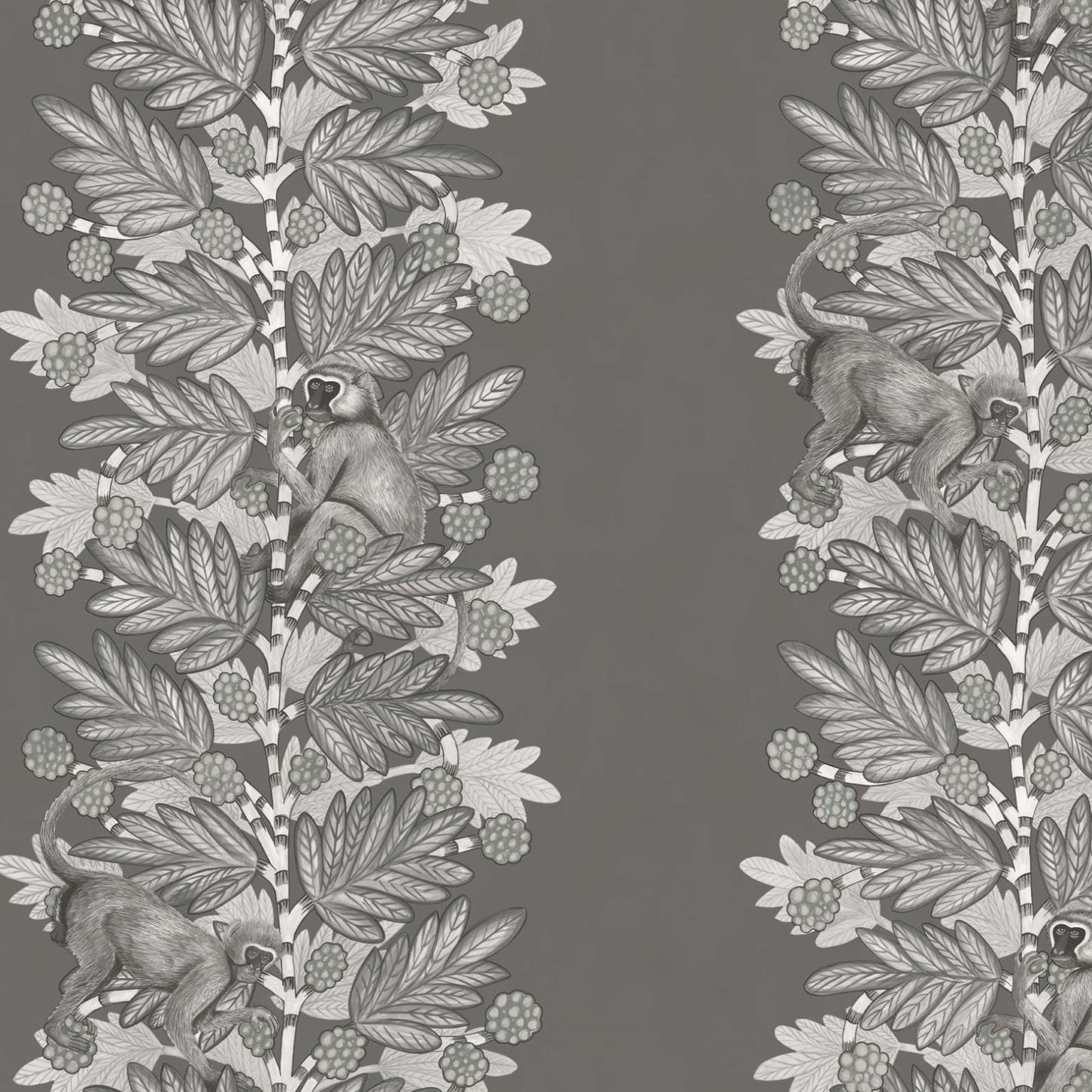 ACACIA 109/11055 TAPETA COLE&SON