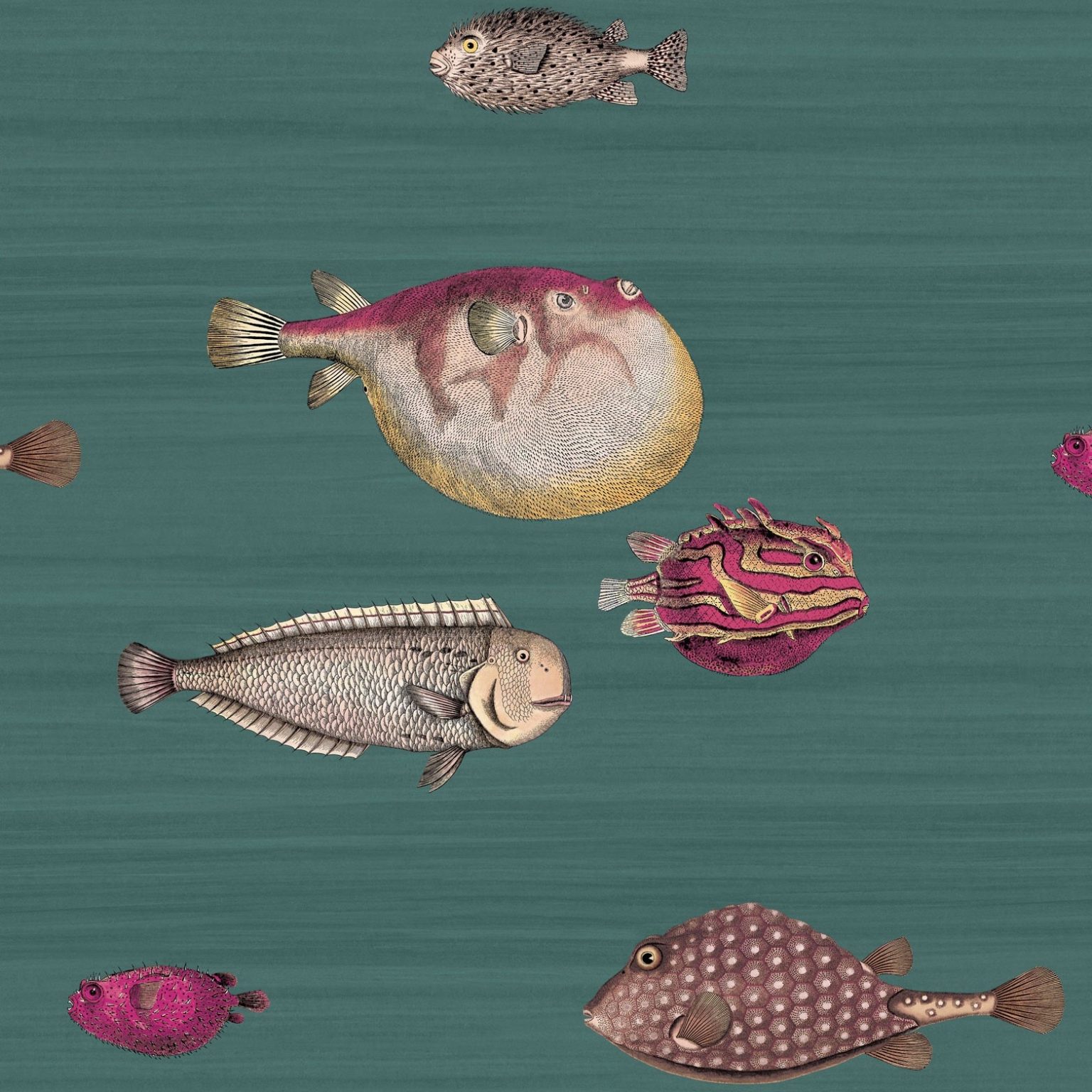 ACQUARIO 114/12024 (kol. FORNASETTI)