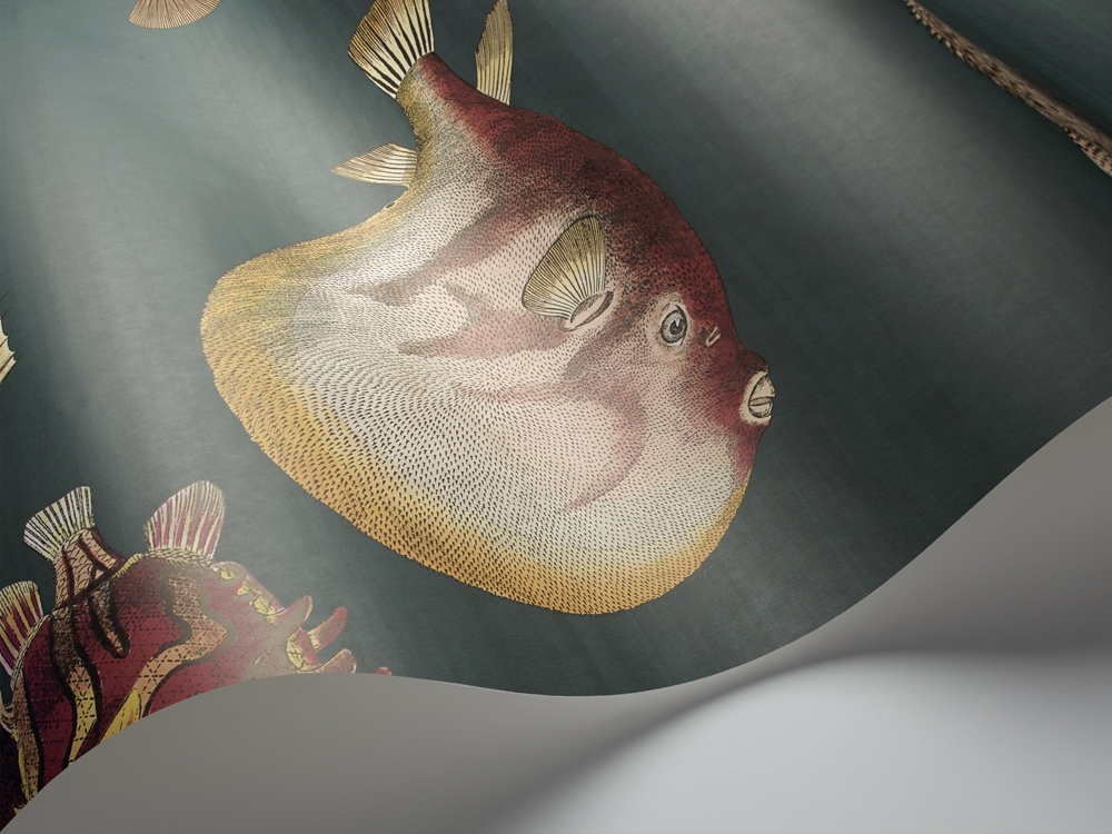 ACQUARIO 114/12024 (kol. FORNASETTI)