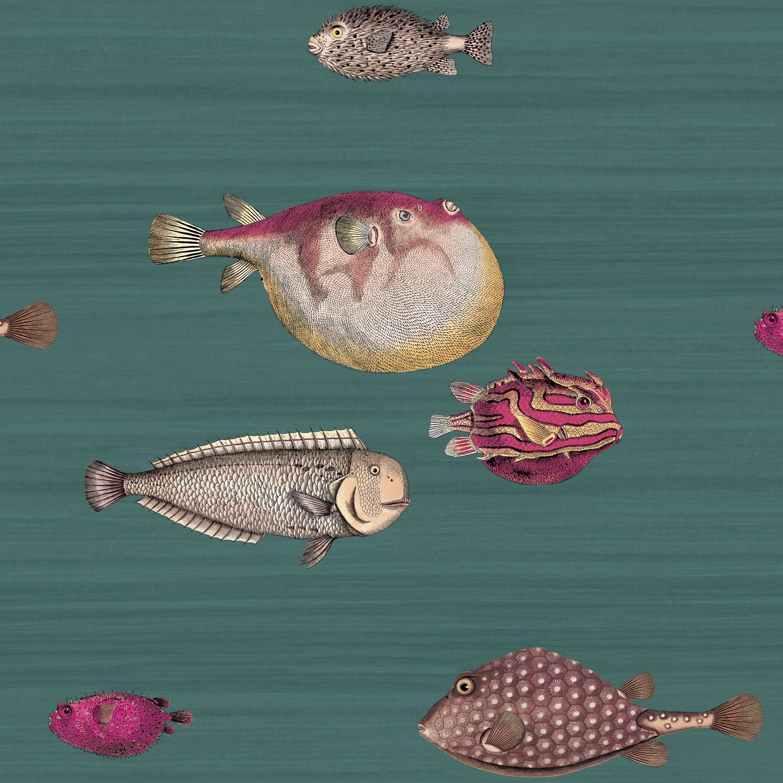 ACQUARIO 114/12024 (kol. FORNASETTI)