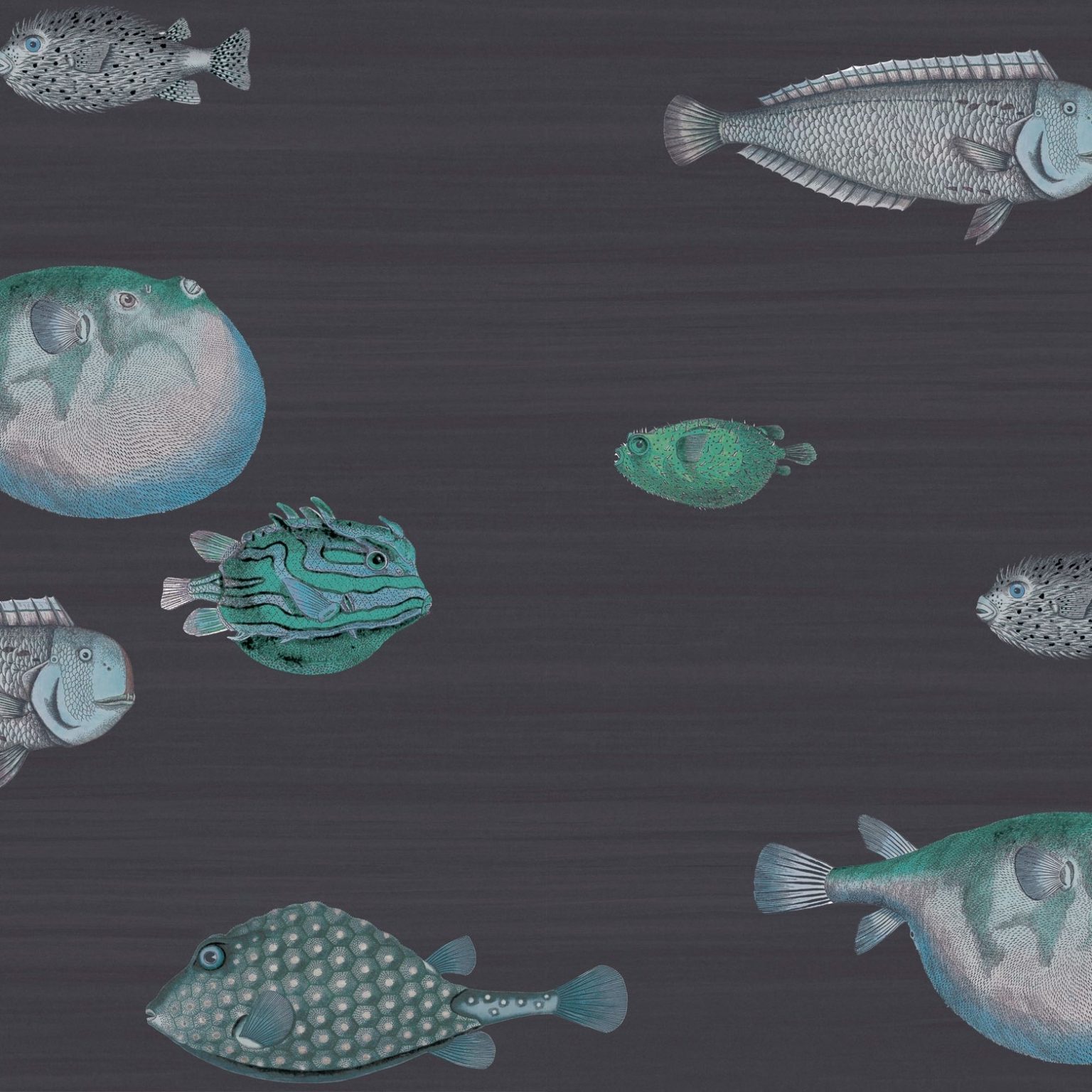 ACQUARIO 114/16032 TAPETA COL&SON