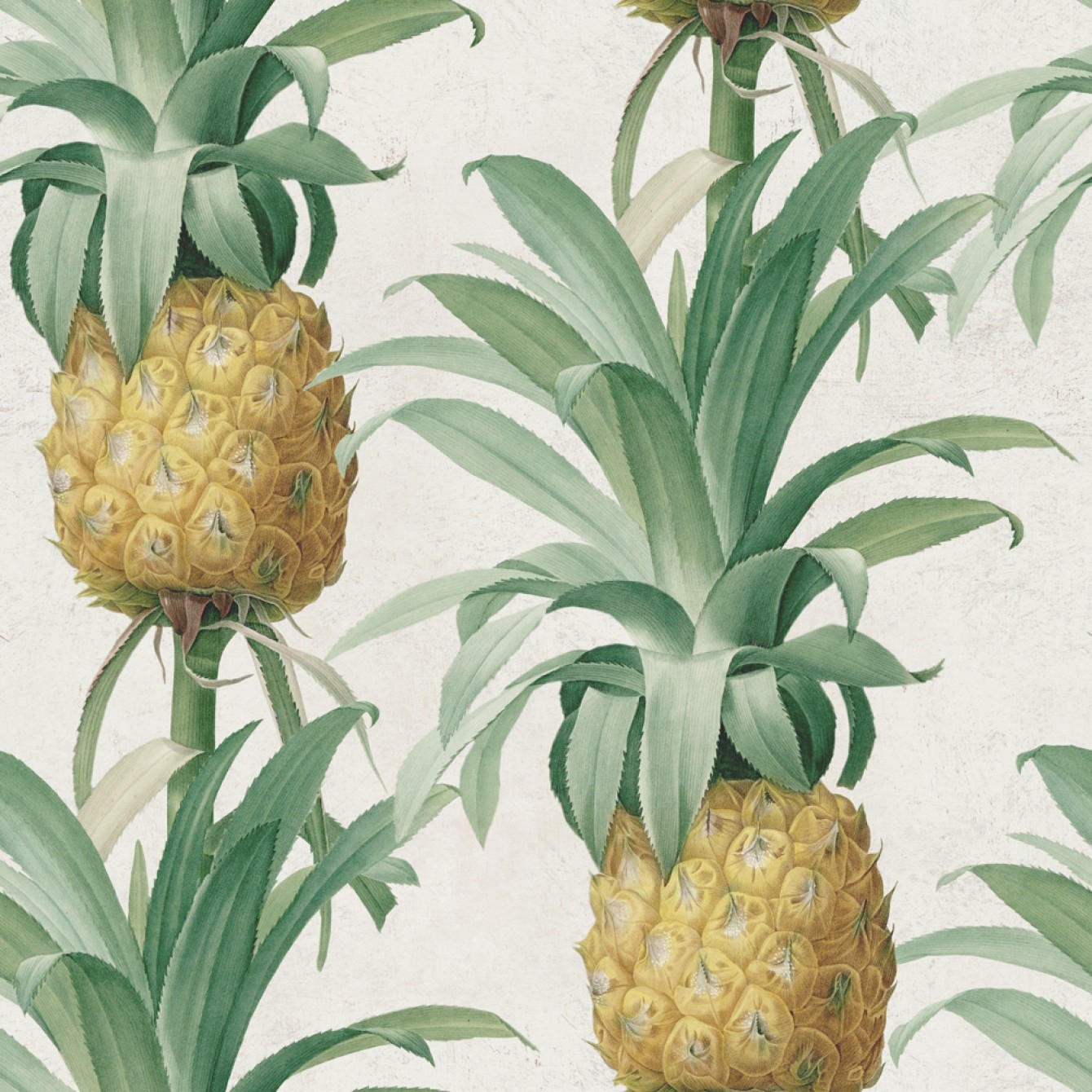 ANANAS TAPETA MIND THE GAP