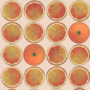 ARANCE 114/24047 (kol. FORNASETTI SENZA TEMPO)