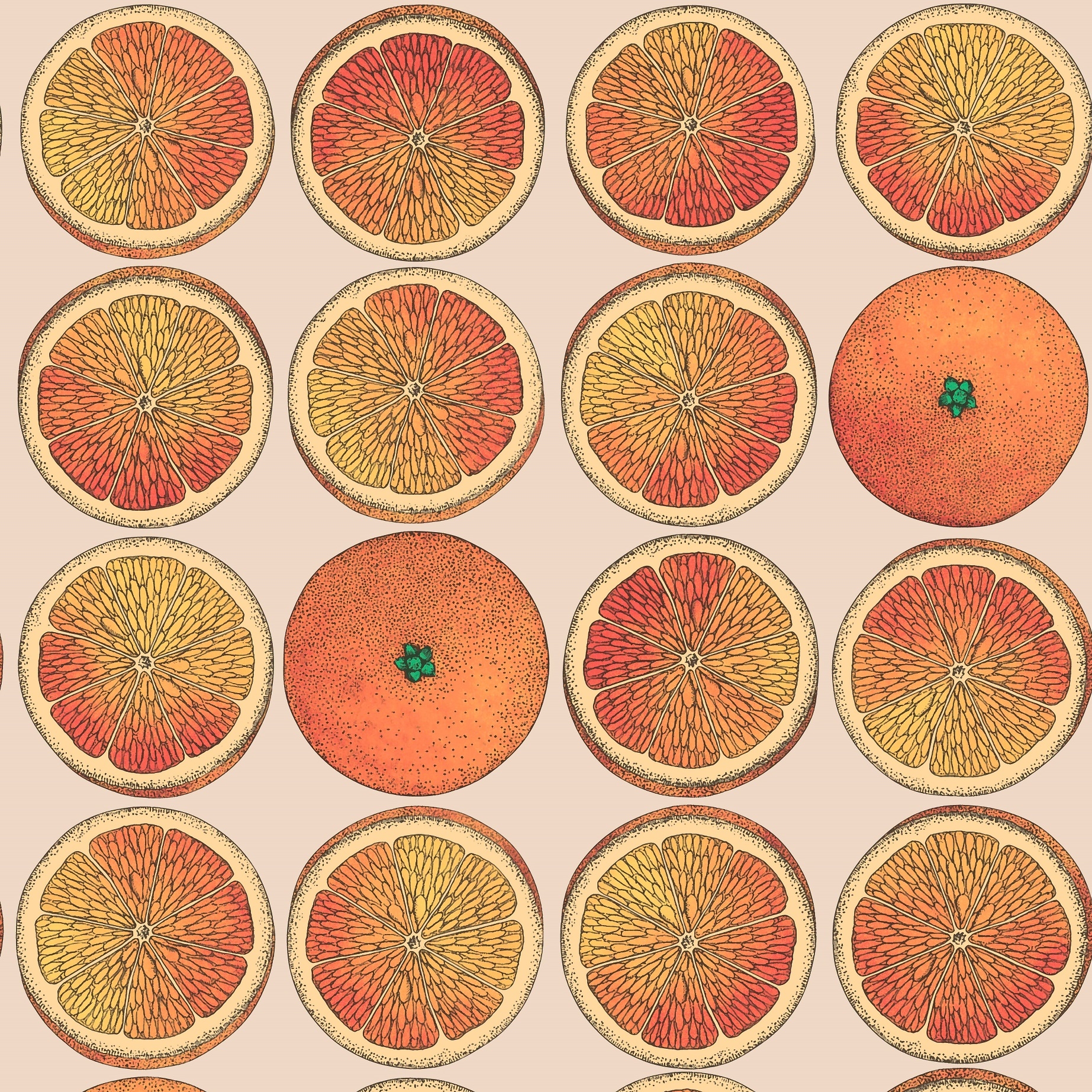 ARANCE 114/24047 (kol. FORNASETTI SENZA TEMPO)