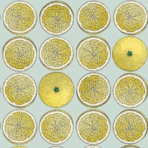 ARANCE 114/24048 (kol. FORNASETTI SENZA TEMPO)