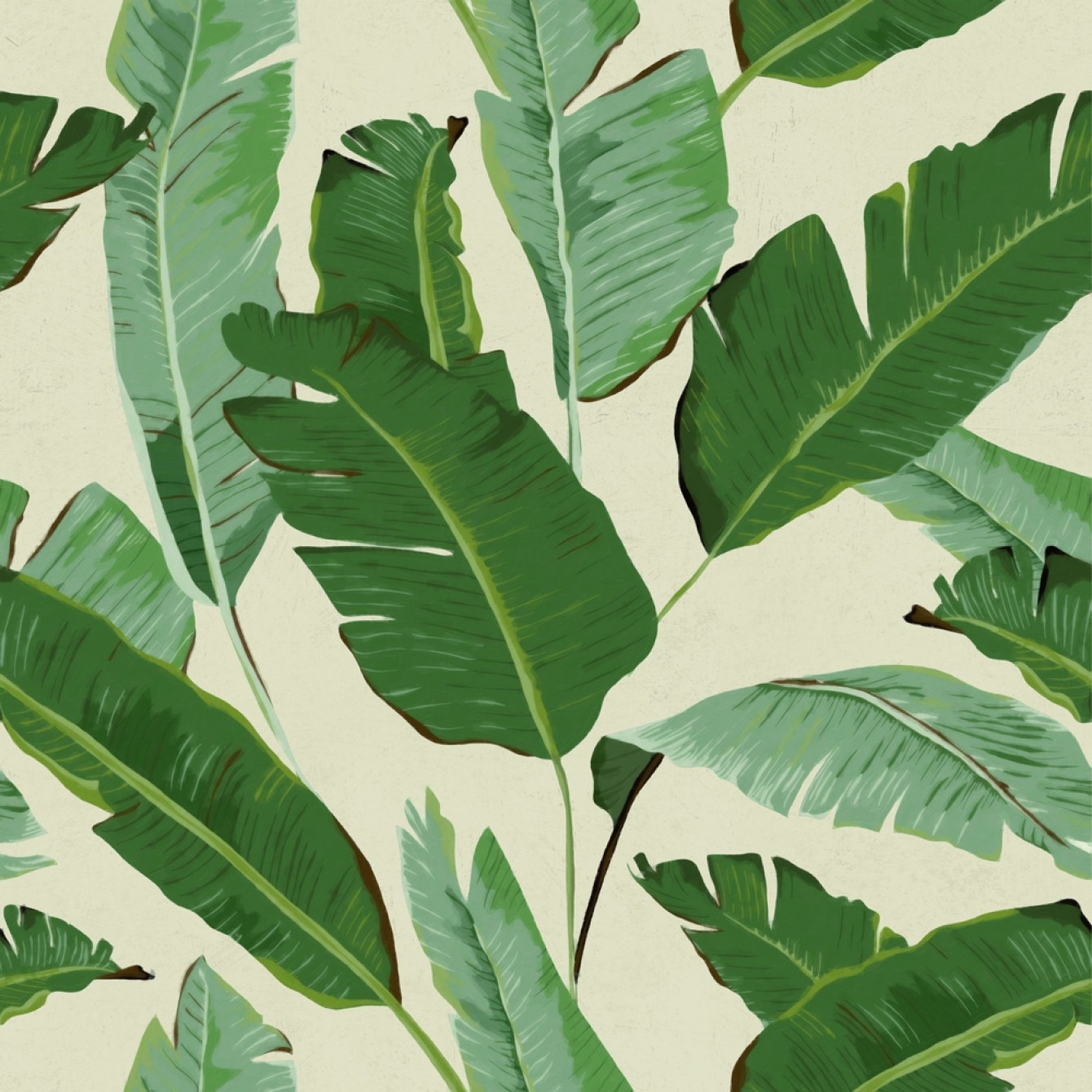 BANANA LEAVES TAPETA MIND THE GAP