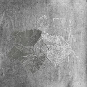 BIOPHILIA WET_BI1902