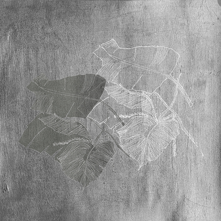 BIOPHILIA WET_BI1902