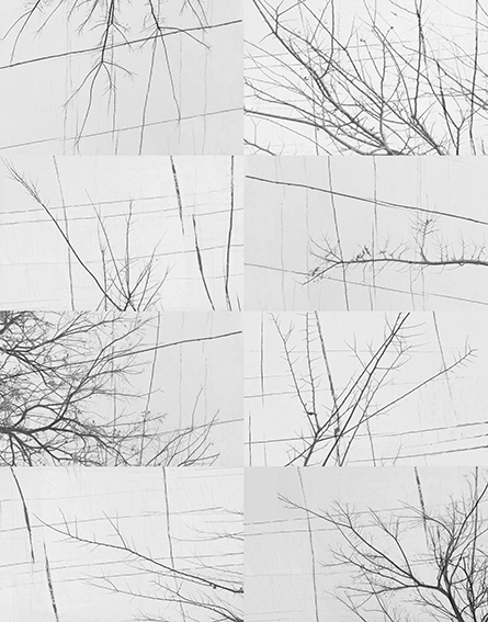 BOIS D'HIVER TAPETA WALL&DECO1