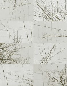 BOIS D'HIVER TAPETA WALL&DECO2