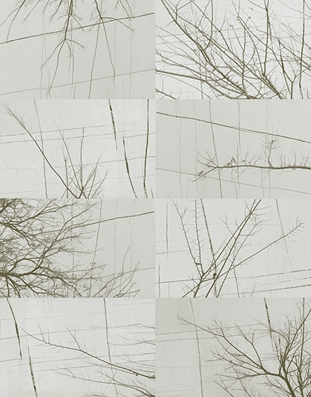 BOIS D'HIVER TAPETA WALL&DECO2
