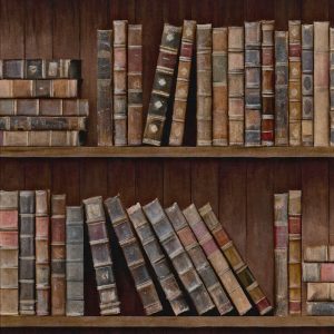 BOOK SHELVES TAPETA MIND THE GAP