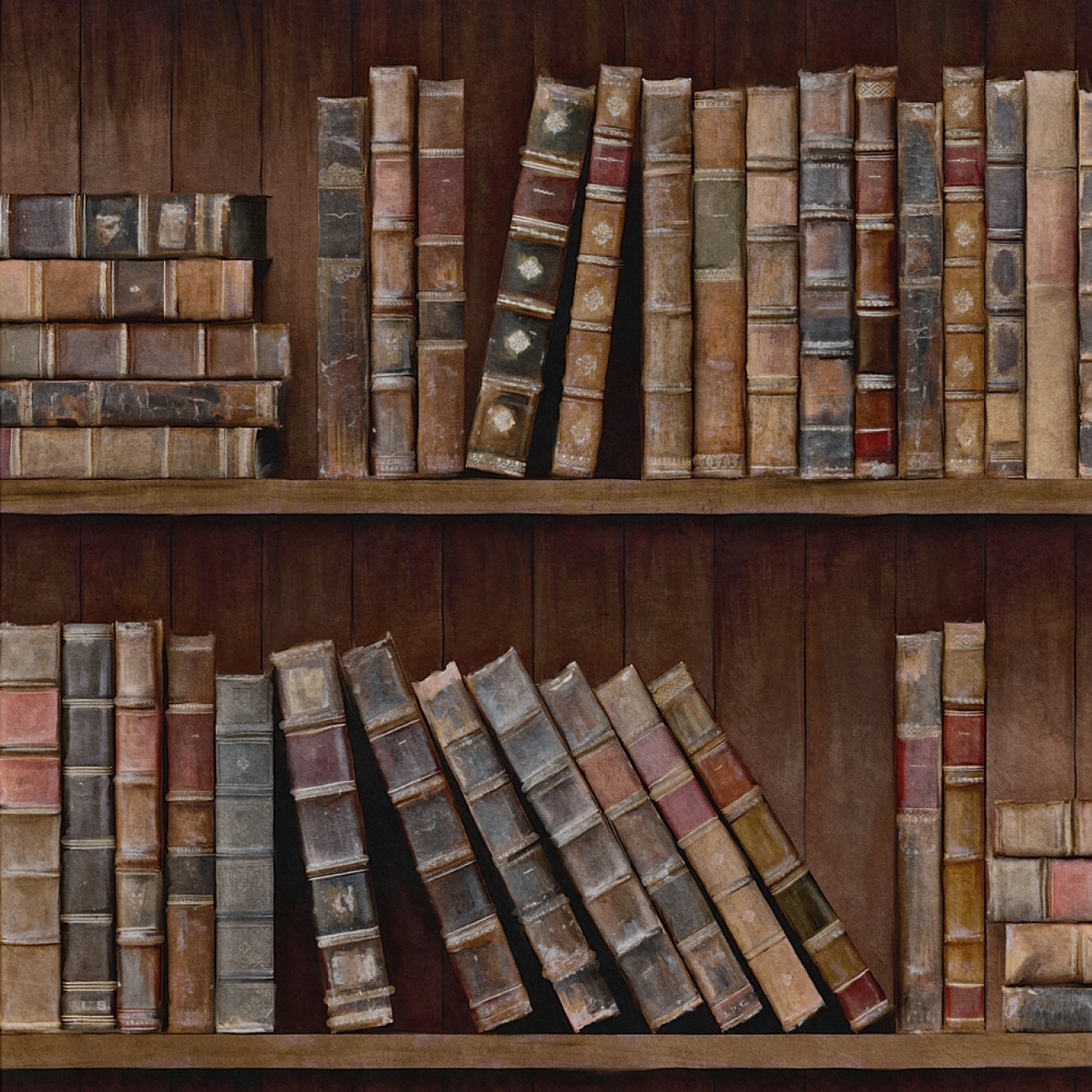 BOOK SHELVES TAPETA MIND THE GAP