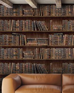 BOOK SHELVES TAPETA MIND THE GAP