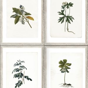 BOTANY TAPETA MIND THE GAP