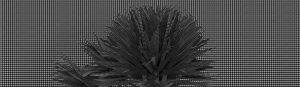 BREEZE TAPETA WALL&DECO