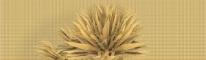 BREEZE TAPETA WALL&DECO
