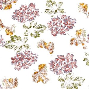 BRIT-CHIC WDBC1601