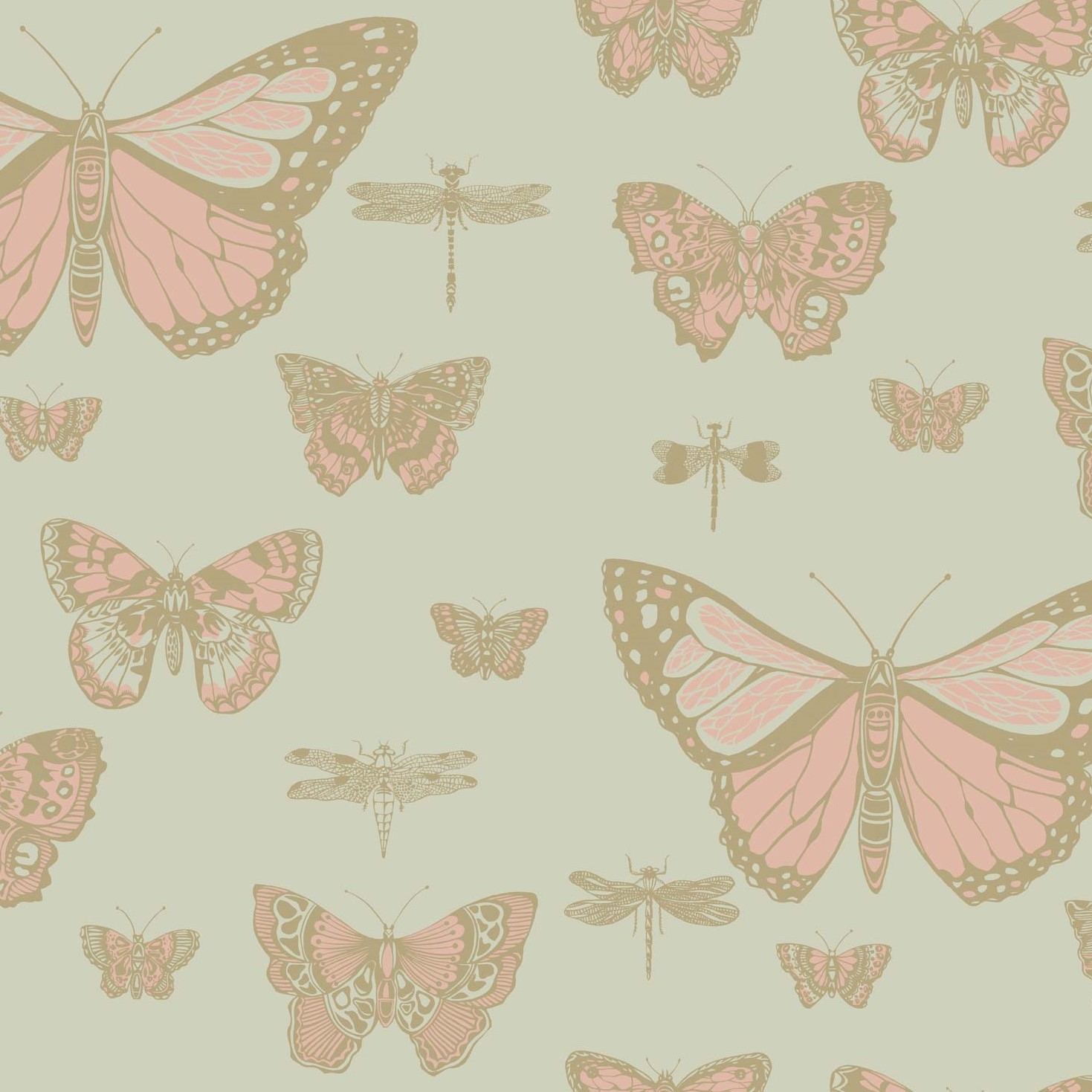 BUTTERFLIES & DRAGONFLIES 103/15063 TAPETA COLE&SON