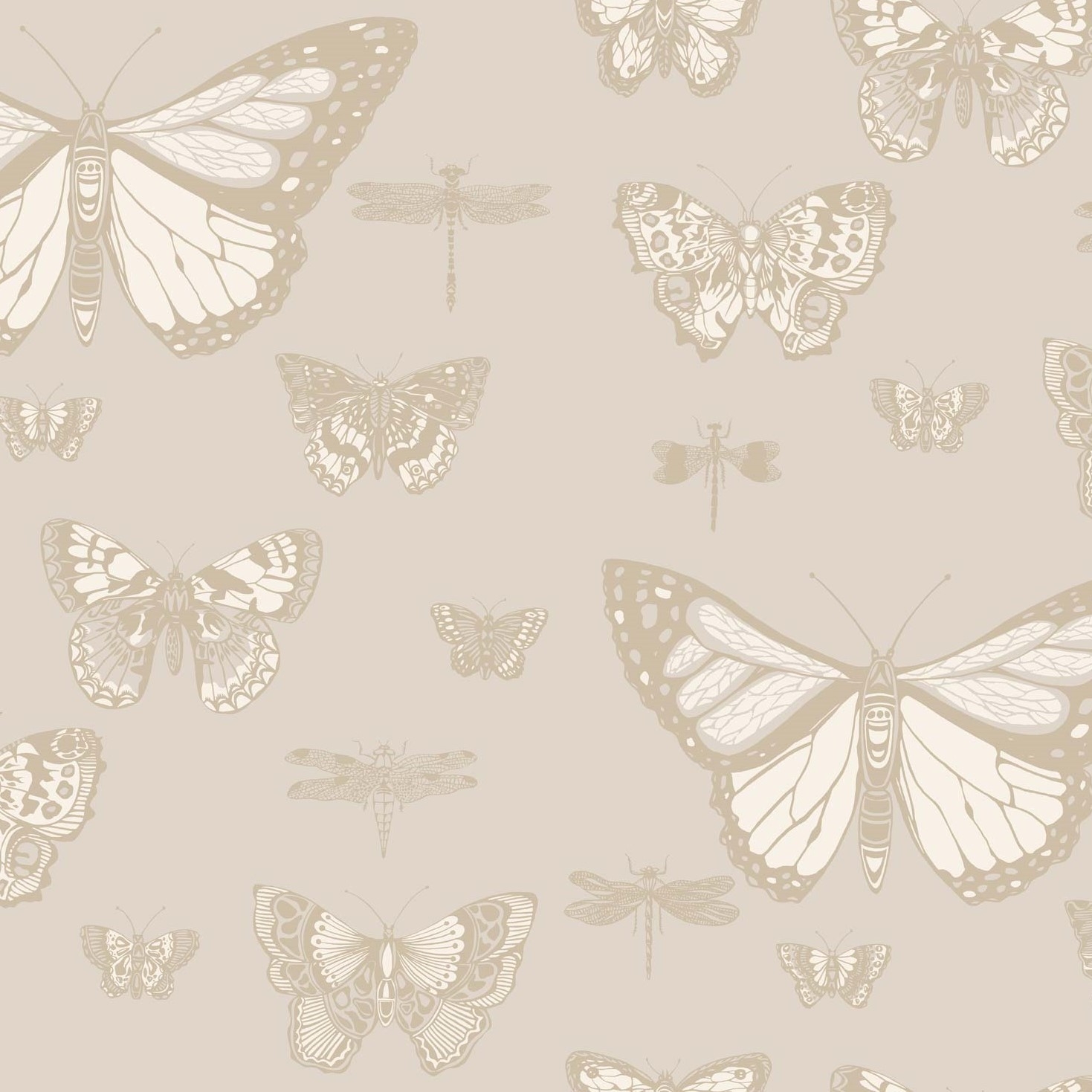BUTTERFLIES & DRAGONFLIES 103/15064 TAPETA COLE&SON