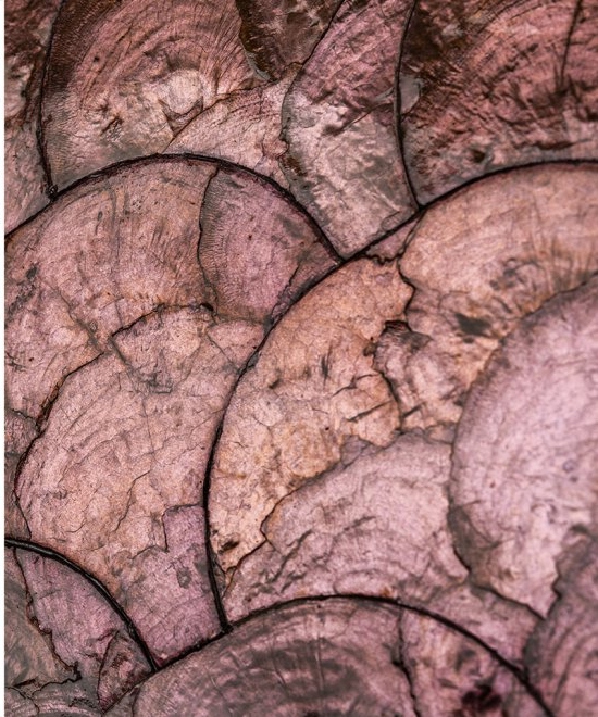 Okładzina ścienna Arte Samal 33733 Vintage Blush Camber