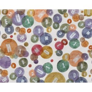 CHARMS WDCH1501