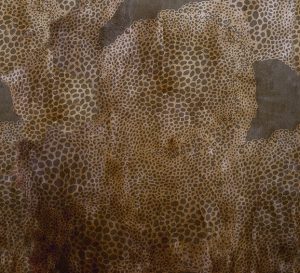 CHEETAH TAPETA WALL&DECO