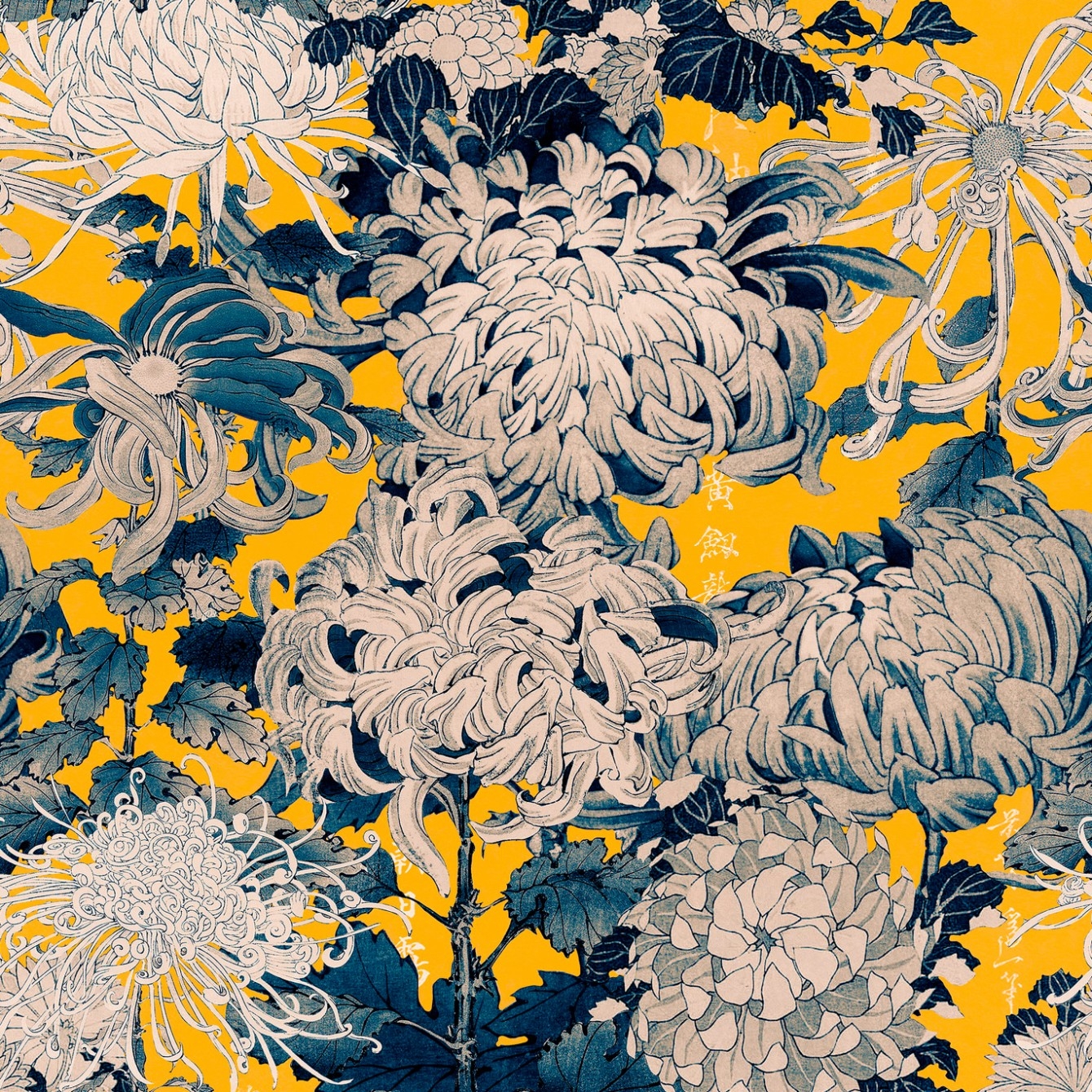 CHRYSANTHEMUMS TAPETA MIND THE GAP