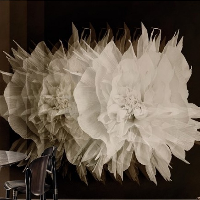 CINETICA TAPETA WALL&DECO