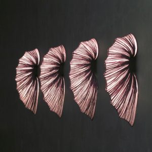 CONTRARE AQUA CREATIONS