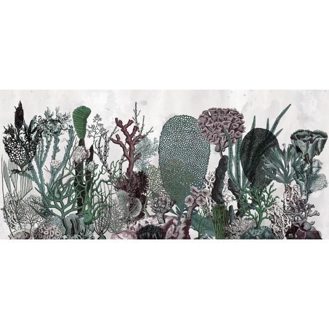 CORALFULL WET_CO1602