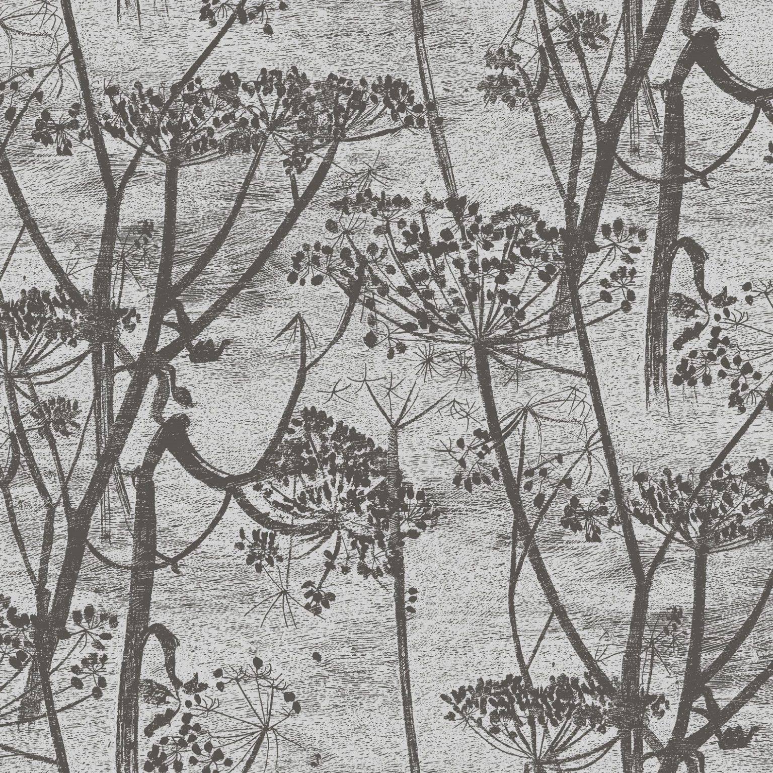 COW PARSLEY 95/9050 TAPETA COLE&SON
