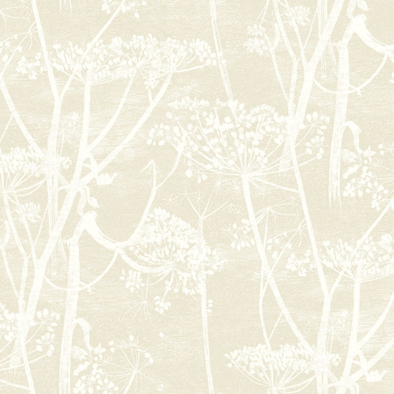 COW PARSLEY 95/9051 TAPETA COLE&SON