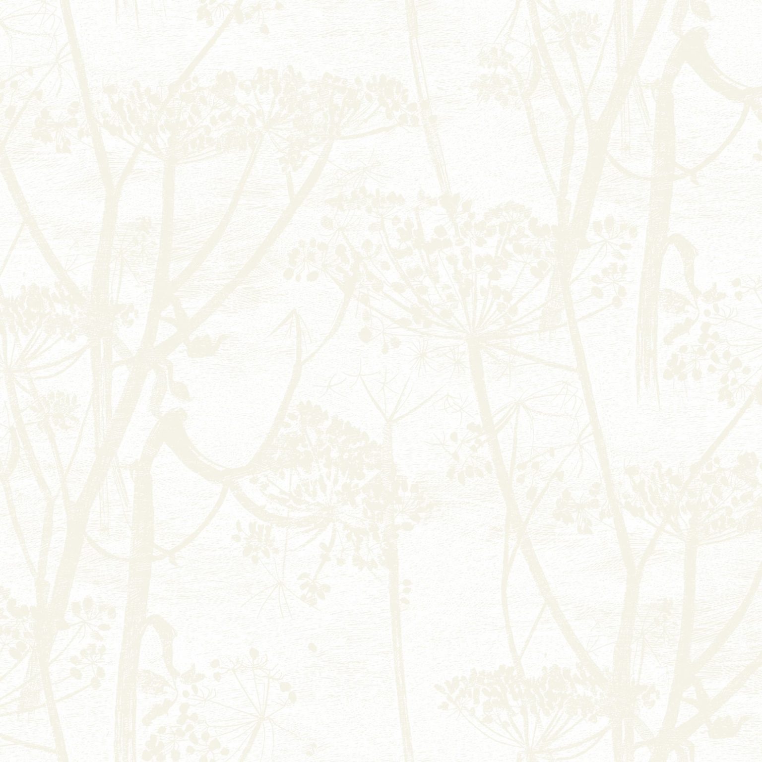 COW PARSLEY 95/9052 TAPETA COLE&SON