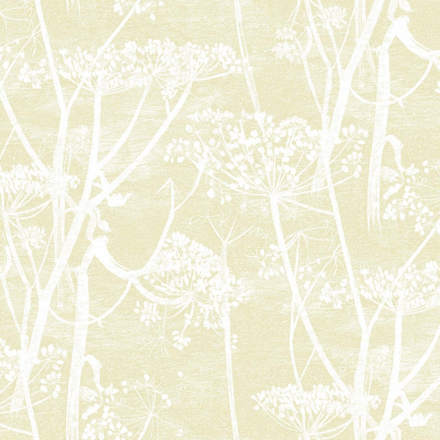 COW PARSLEY 95/9053 TAPETA COLE&SON