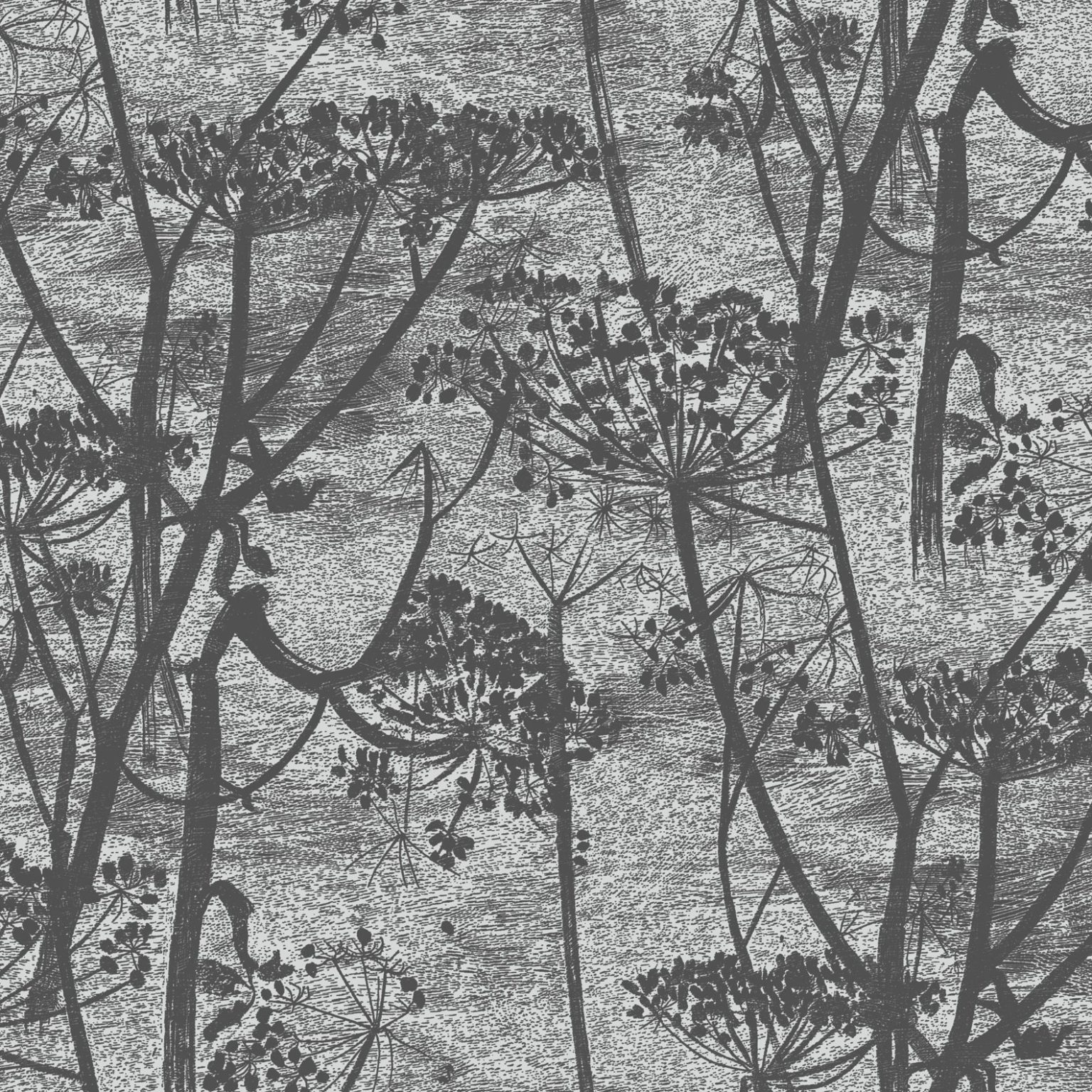 COW PARSLEY 112/8026 TAPETA COLE&SON