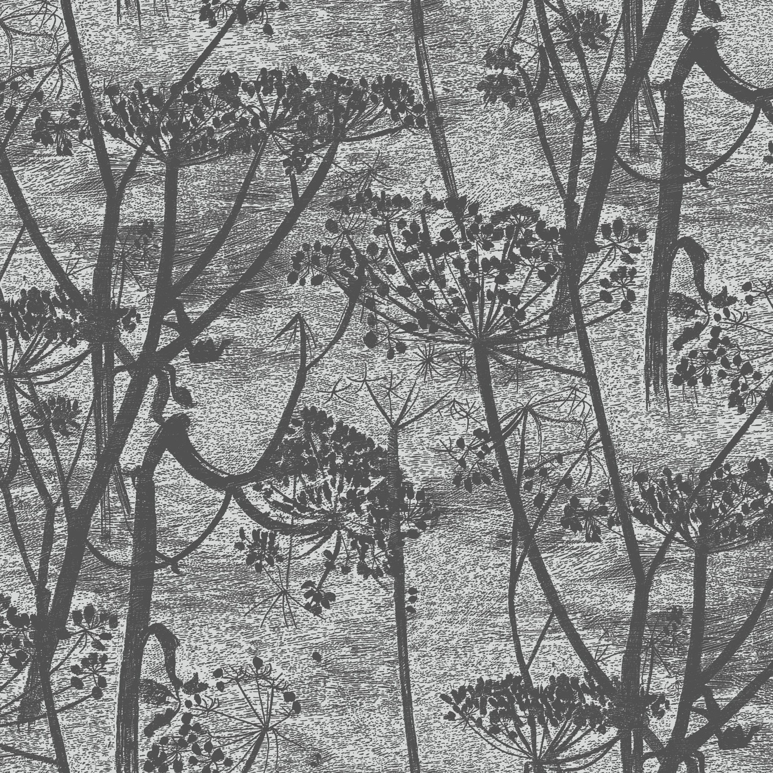 COW PARSLEY 112/8026 TAPETA COLE&SON