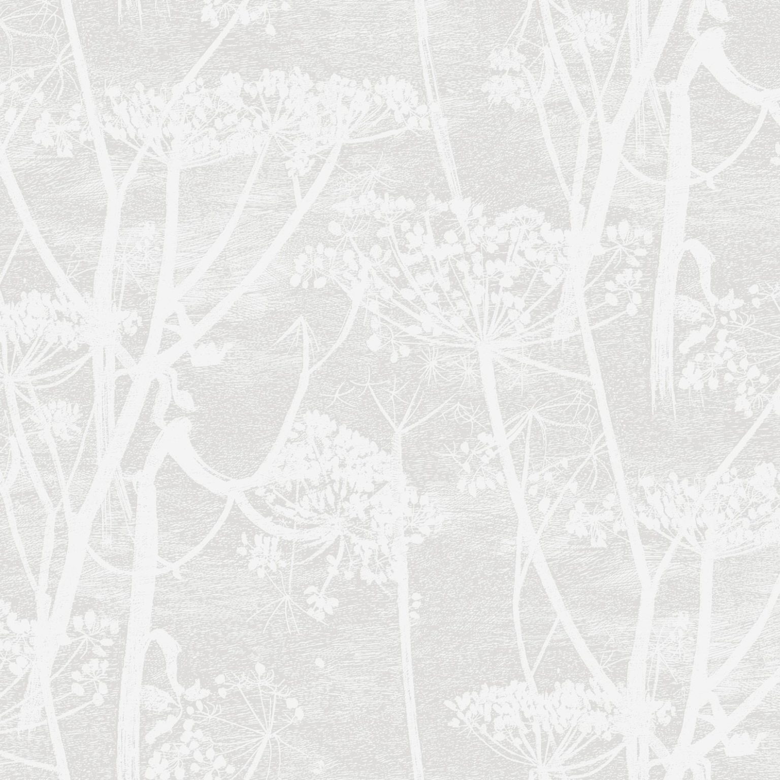 COW PARSLEY 112/8027 TAPETA COLE&SON